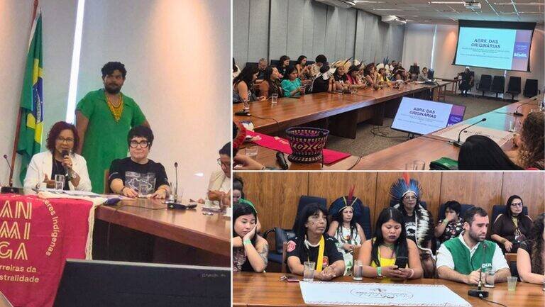 Ministérios e lideranças indígenas apresentam diretrizes da PNMI em Brasília