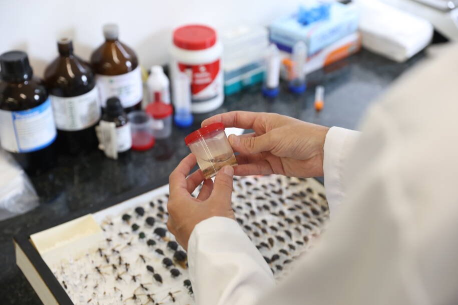 Polícia Científica de Santa Catarina utiliza Entomologia Forense para elucidar crimes