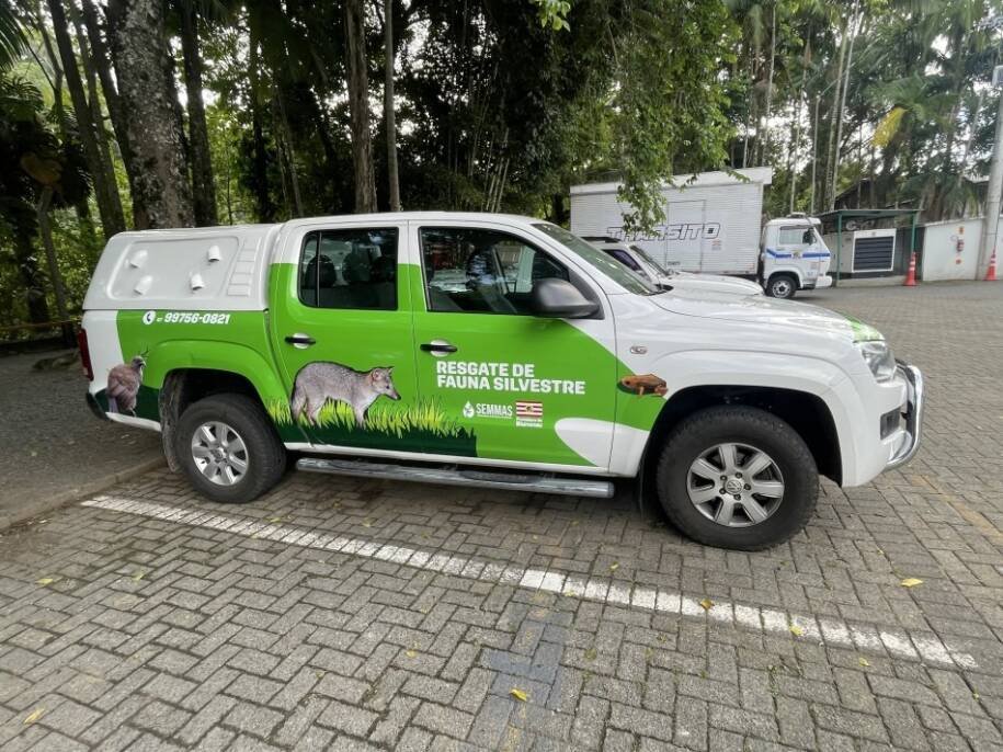 Prefeitura de Blumenau lança programas para resgatar e monitorar fauna silvestre