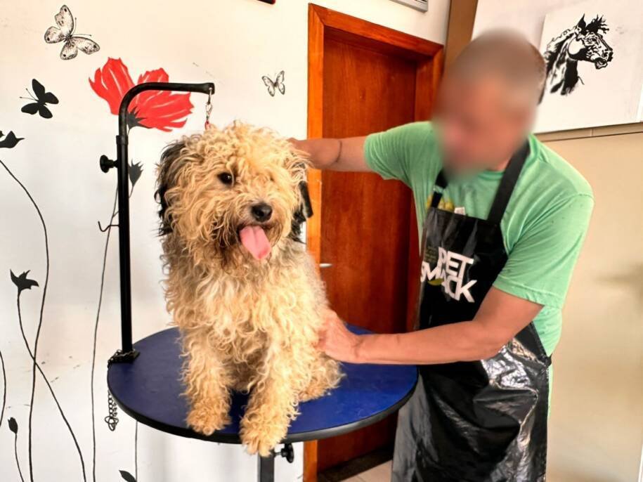 Programa ReabilitaCÃO inicia curso de banho e tosa e muda vidas no semiaberto