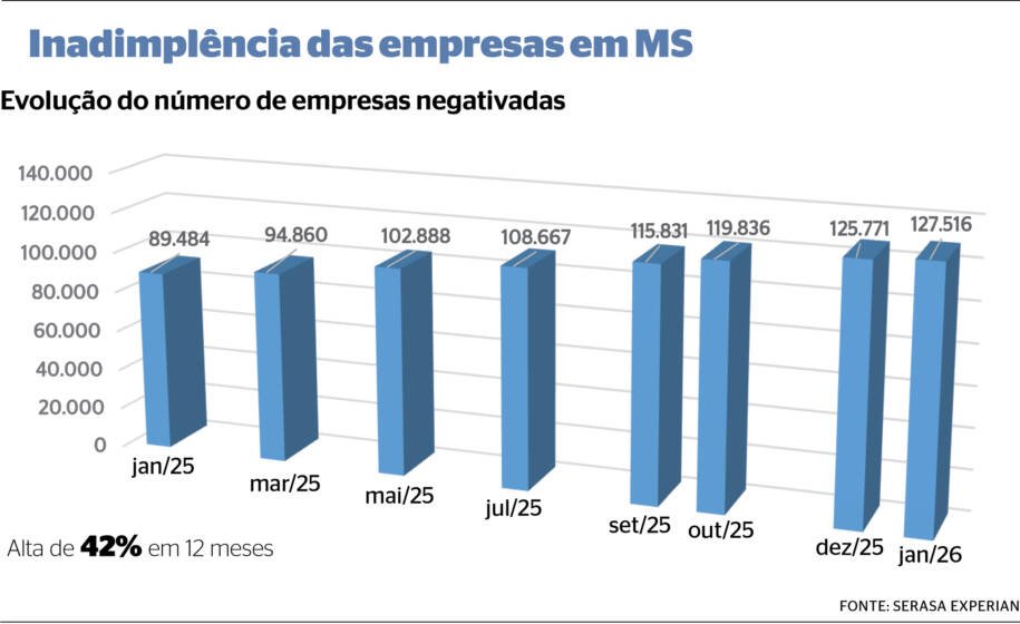 Serasa Experian revela aumento alarmante de empresas negativadas em MS