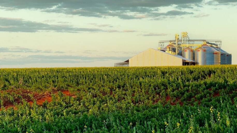 STF valida restrição que impede empresas estrangeiras de comprar terras no Brasil