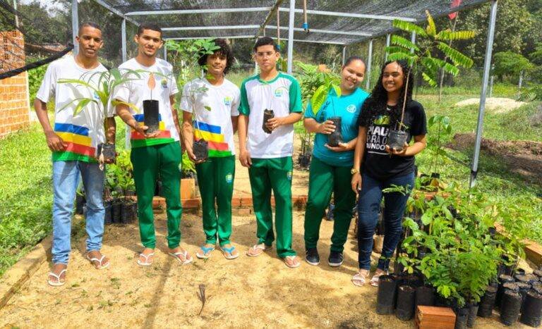 Amigos da Terra Dinamarca apoia viveiro no Piauí que promete gerar renda e sustentabilidade