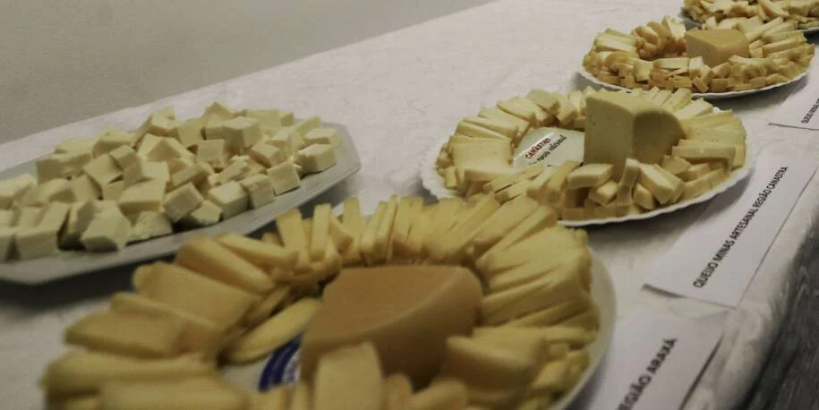 Brasil reduz tarifas de queijo e carne após acordo Mercosul-UE e inicia importações