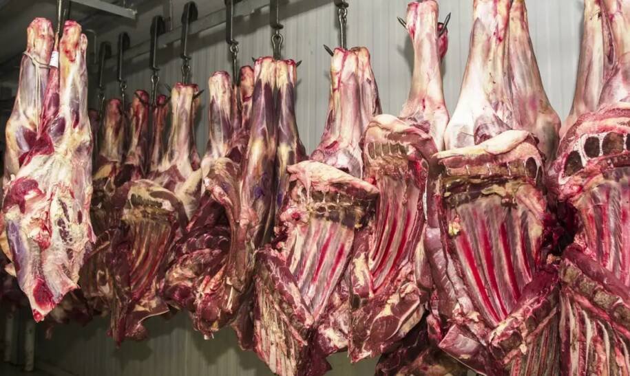 China suspende exportações da JBS, PrimaFoods e Frialto após irregularidades alarmantes