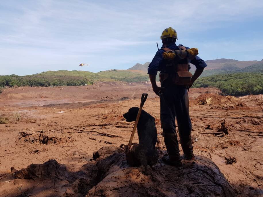 Corpo de Bombeiros Militar de SC aposenta Iron e Léia, cães heróis em missões