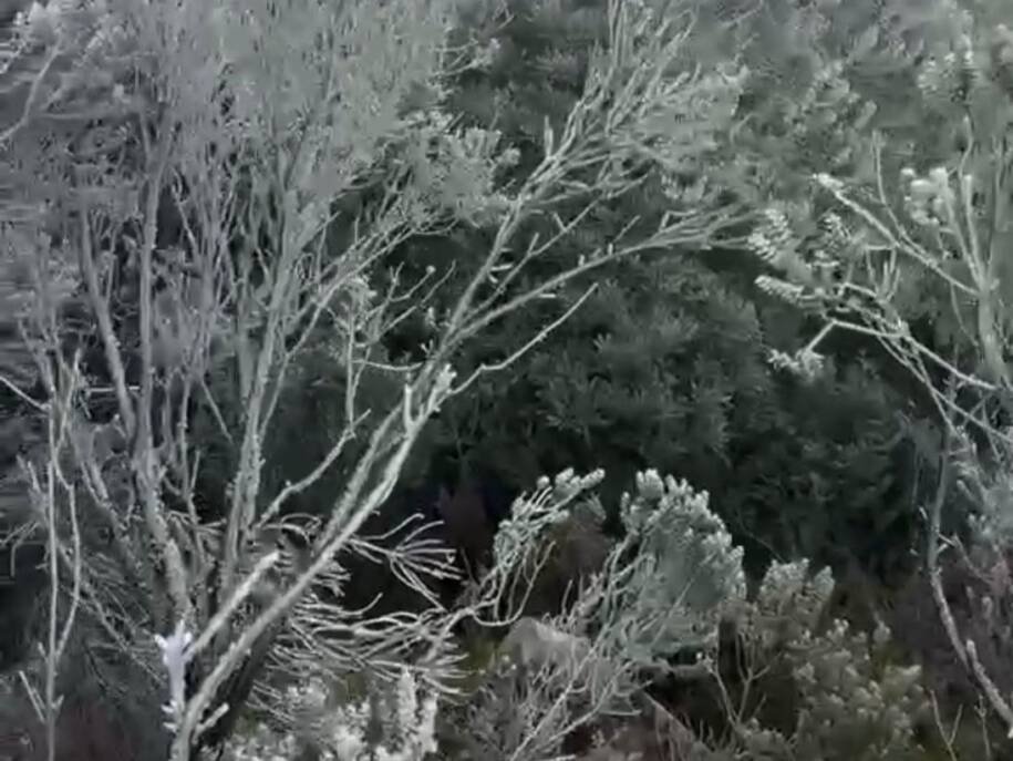 Defesa Civil alerta: Santa Catarina enfrenta frio intenso e primeiros flocos de neve