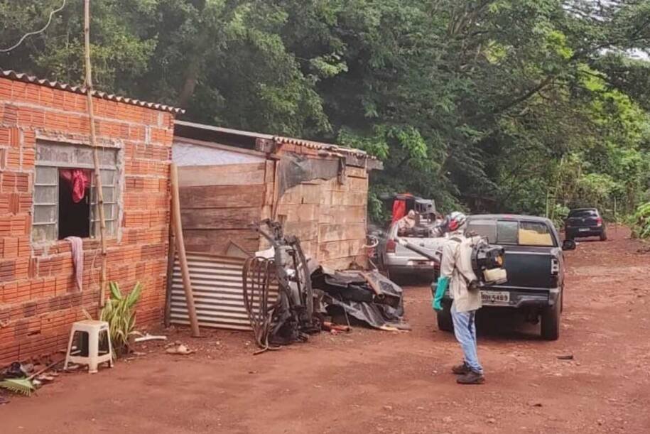 Dourados registra 10ª morte por chikungunya; secretário alerta sobre Aedes aegypti