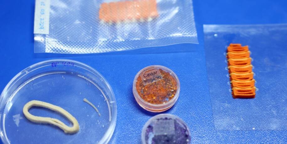Embrapa revoluciona com alimentos impressos em 3D para combater a fome