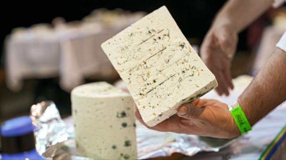 Festival Nacional do Queijo 2026 traz Feira Tecnológica e atrai fornecedores do setor