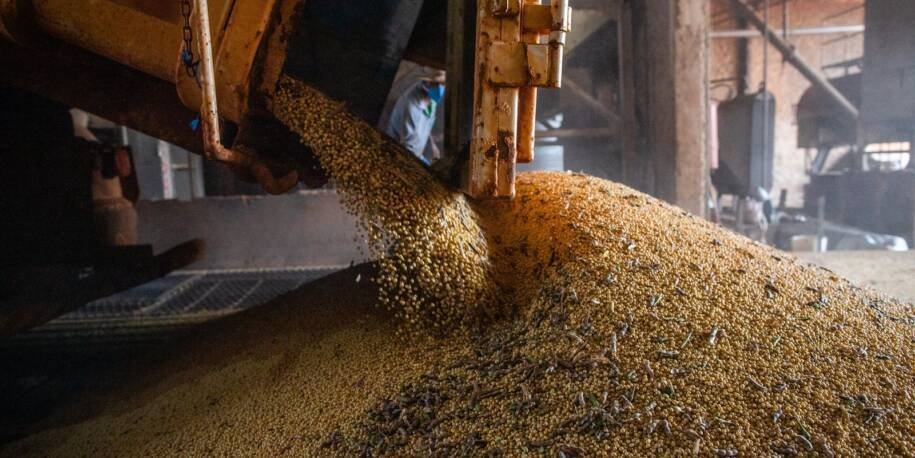 IBGE revela que economia brasileira cresce 1,1% e PIB atinge R$ 3,3 trilhões