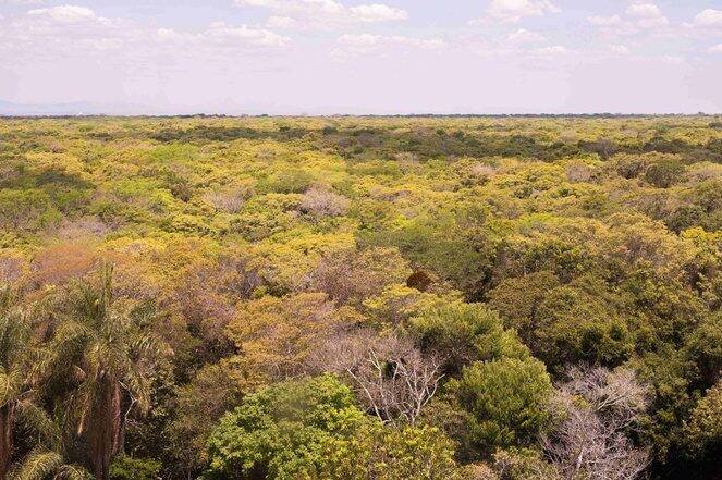 ICMBio e comunidades celebram 80 anos da Floresta Nacional do Araripe-Apodi
