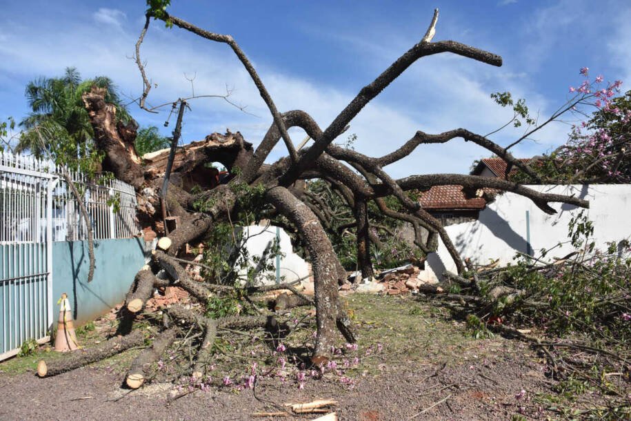 Instituto Nacional de Meteorologia alerta 71 municípios de MS sobre vendaval e frio