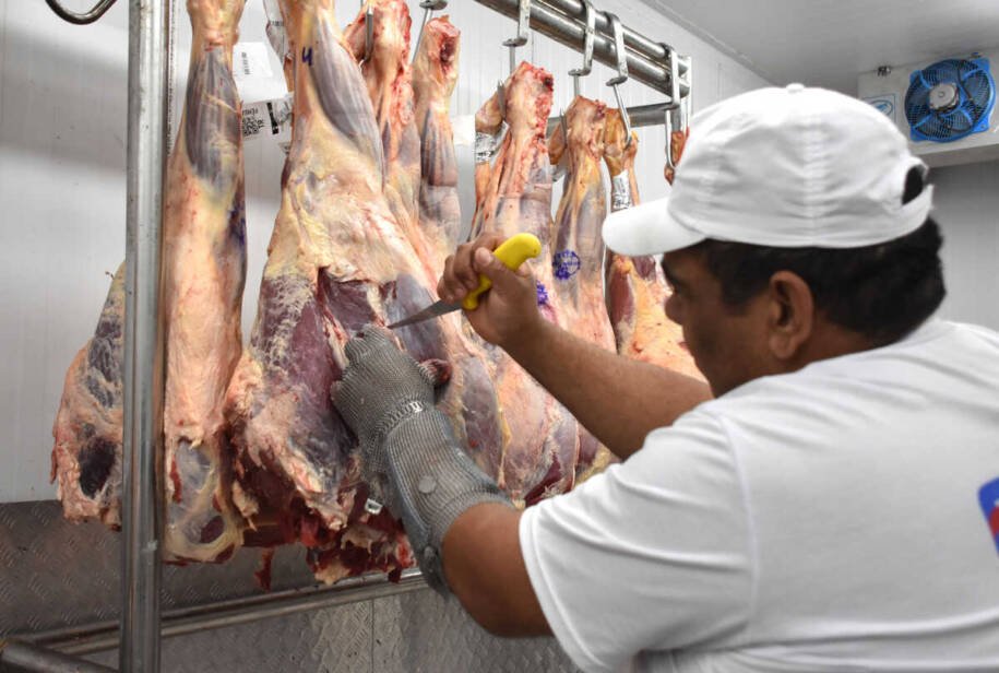 Mato Grosso do Sul vê arroba do boi gordo ultrapassar R$ 340 e gera tensão