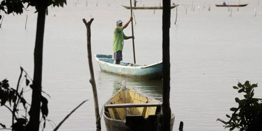 Ministério da Pesca e Aquicultura anuncia Conferência Nacional após 16 anos de espera