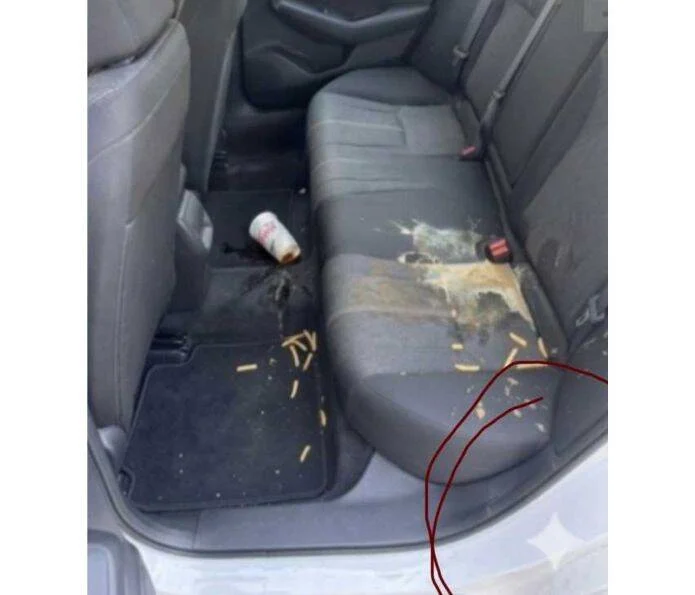 Motorista da Lyft usa IA para fraudar passageiras e é banido após denúncia