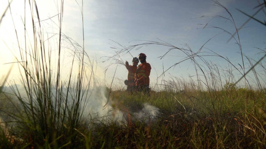 Mupan e Wetlands International promovem capacitação sobre SIFAU em Corumbá