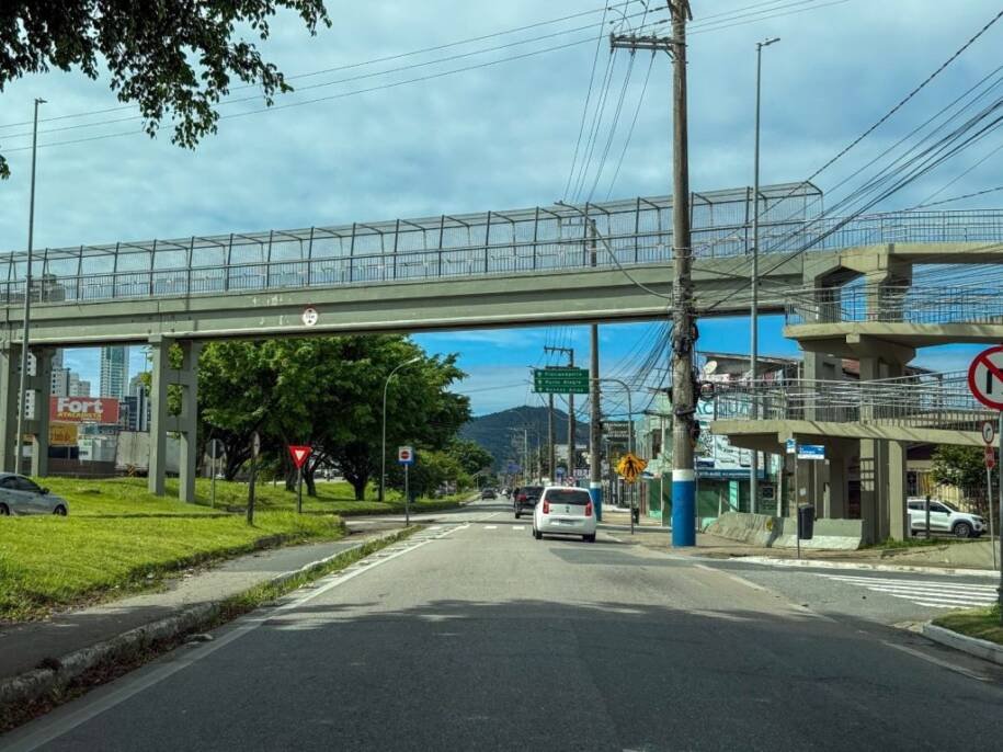 Prefeitura de Balneário Camboriú inicia mutirão de limpeza nas marginais da BR-101