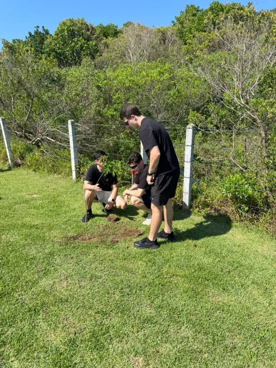 Prefeitura de Balneário Camboriú lança Junho Verde com ações ambientais impactantes