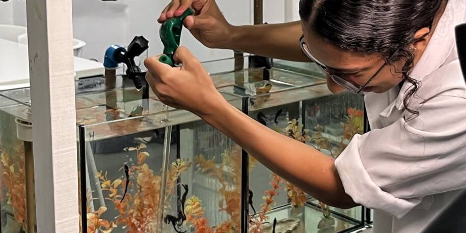 Projeto Cavalos Marinhos abre espaço educativo e impacta 2 milhões em 2024
