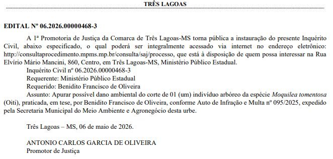 Promotor Antônio Carlos Garcia investiga corte irregular de árvore em Três Lagoas