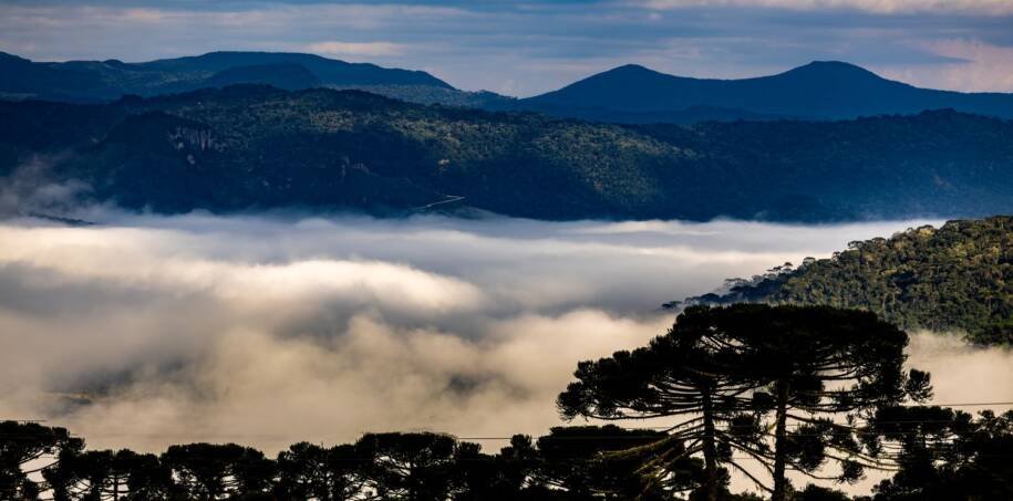 SPDC/SC alerta: frio intenso e geada ameaçam Dia das Mães em SC
