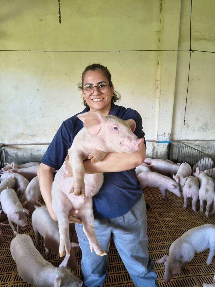 Suinocultura em MS gera 32 mil empregos diretos e atrai R$ 2 bilhões em investimentos