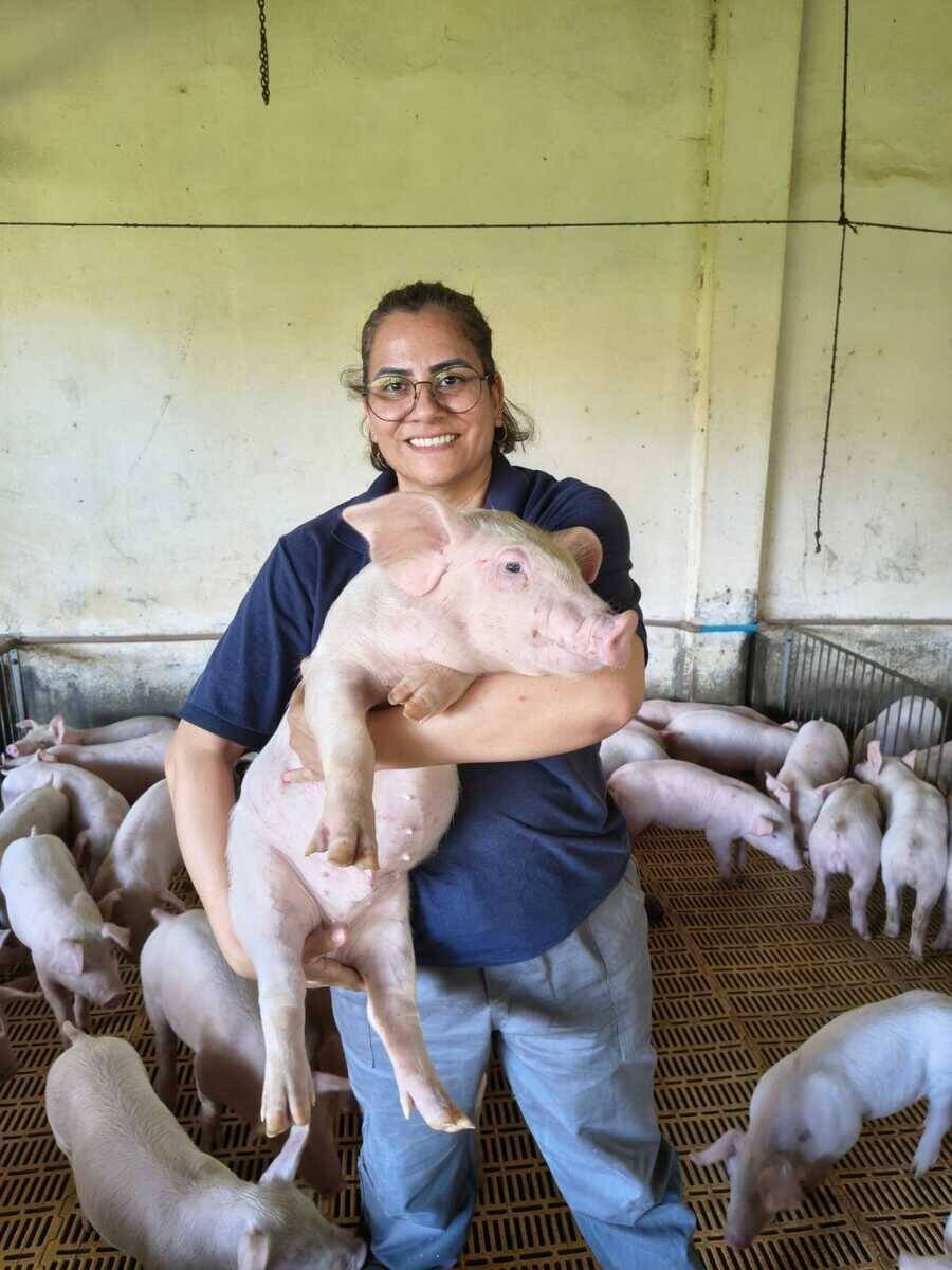 Suinocultura em MS gera 32 mil empregos diretos e atrai R$ 2 bilhões em investimentos