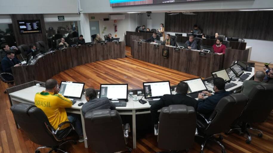 Câmara de Balneário Camboriú aprova direito de pessoas com TEA a animais emocionais