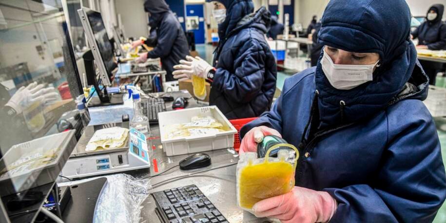 Câmara dos Deputados aprova projeto que dispensa licitação para Hemobrás e gera economia