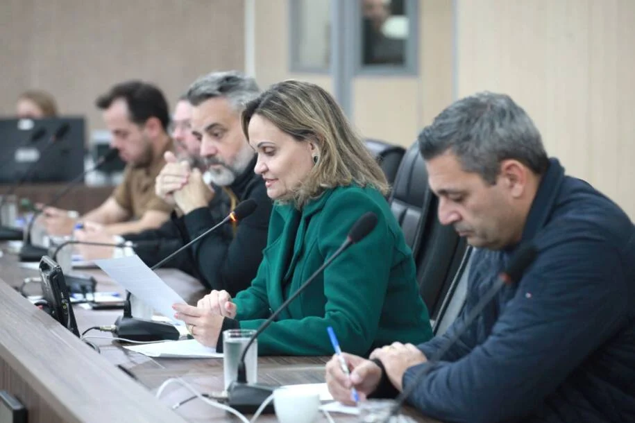 Comissão da Câmara de Blumenau exige segurança nas escolas após mudanças