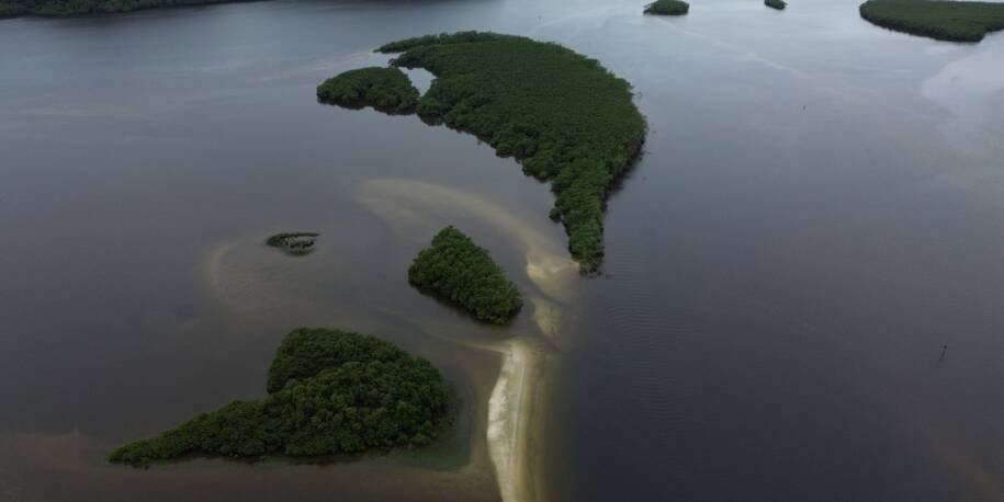 Dia Mundial dos Oceanos: Brasil destaca papel do carbono azul na luta climática