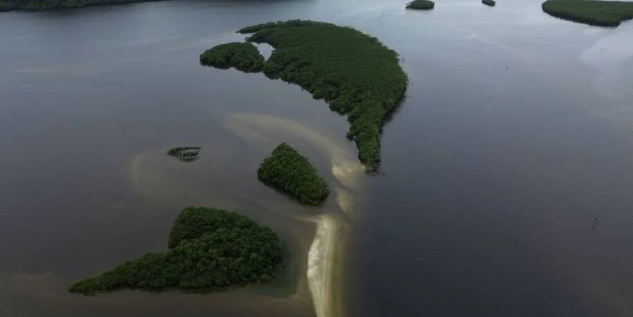 Dia Mundial dos Oceanos: Brasil destaca papel do carbono azul na luta climática