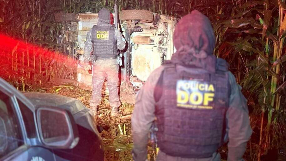 DOF apreende 785 kg de maconha em milharal após capotamento de Onix