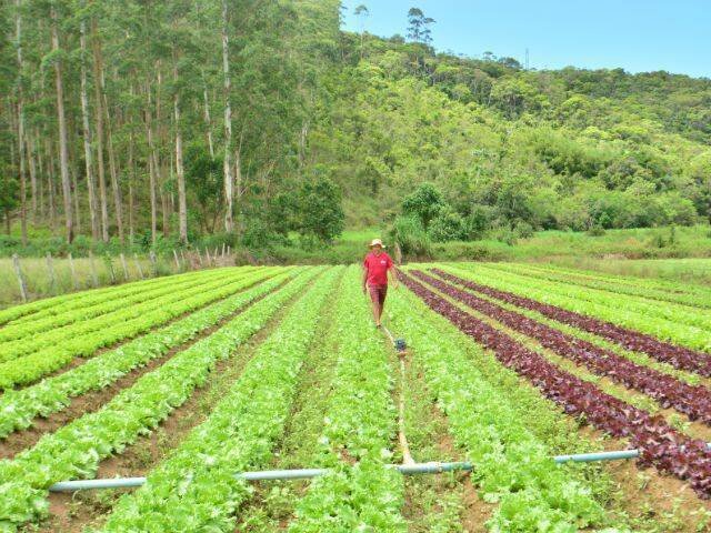 Epagri lança SC Rural 2 com US$150 milhões para 145 mil catarinenses em risco climático