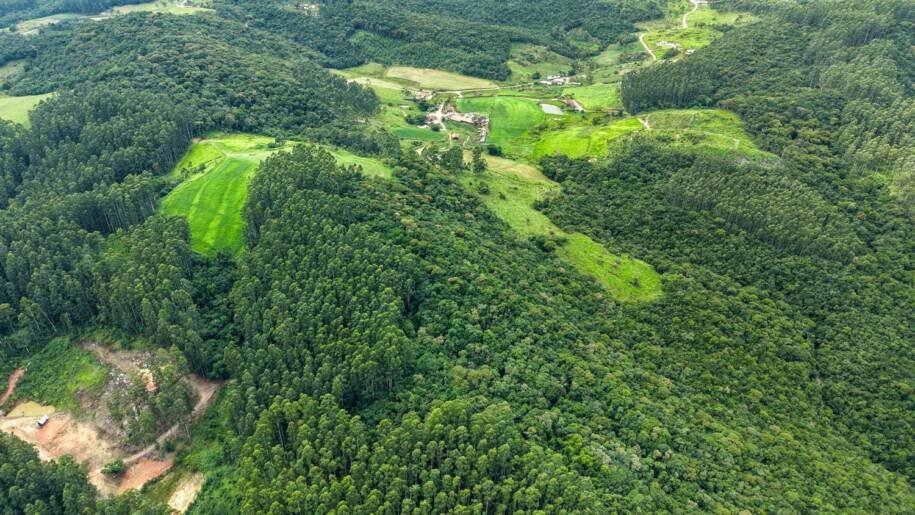 Governo de Santa Catarina lança edital do programa Mais Verde com R$ 70 milhões