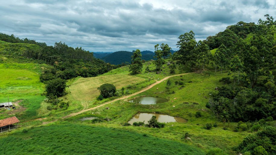 Governo de Santa Catarina lança programa que paga até R$ 7,5 mil por conservação ambiental