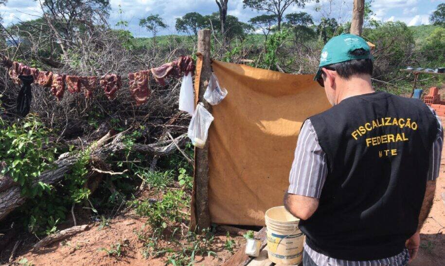 Governo Lula registra aumento de 70% em resgates de trabalho escravo após sanção de Trump