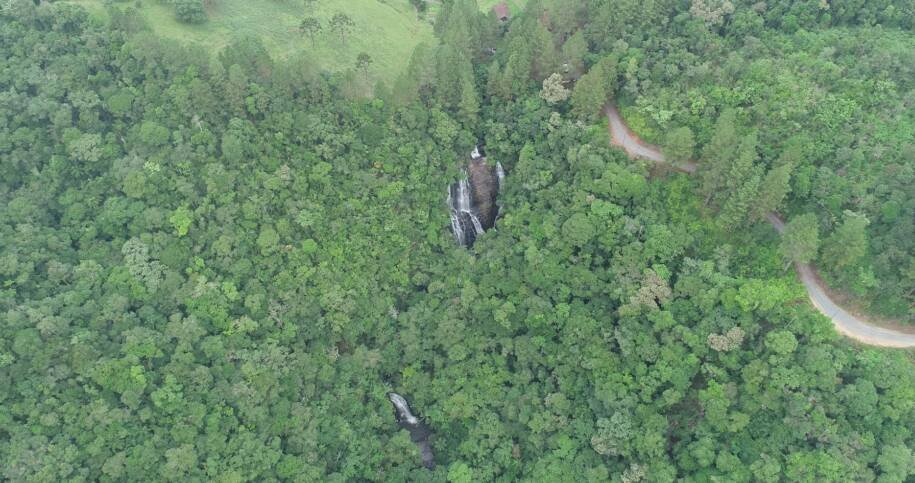 Instituto do Meio Ambiente de SC celebra 46 anos da Reserva Canela Preta e sua biodiversidade