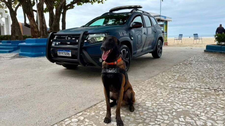 Kirsch, cão da Guarda Municipal, realiza 40 apreensões de drogas em menos de um ano