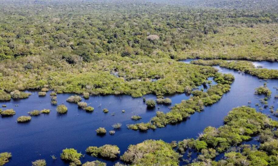 Mato Grosso do Sul registra menor desmatamento em 7 anos e avança em proteção