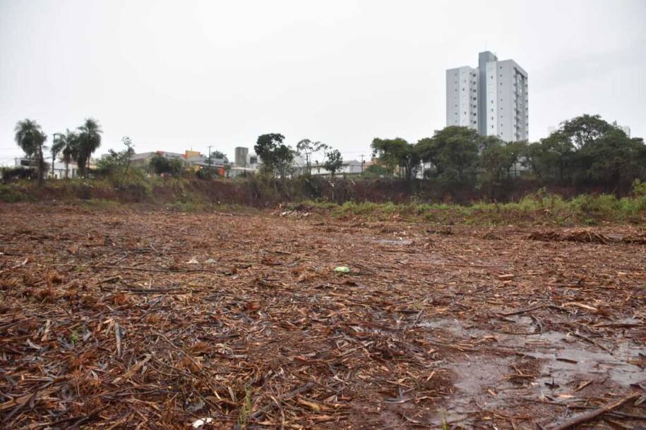 Ministério Público processa grupo El Kadri após limpeza de terreno em Campo Grande
