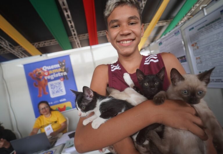 MMA anuncia 8 mil castrações gratuitas no DF em junho e julho: saiba como participar