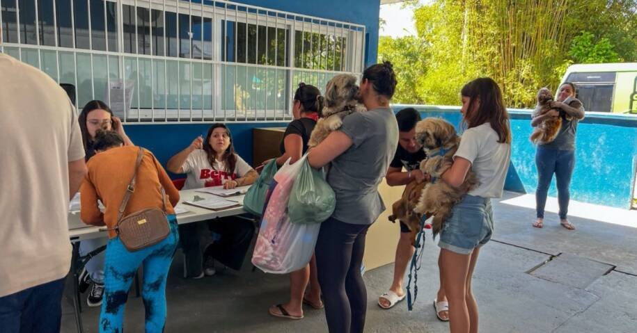 Prefeitura de Balneário Camboriú amplia Programa Castra Pet e já castrou 1 mil animais