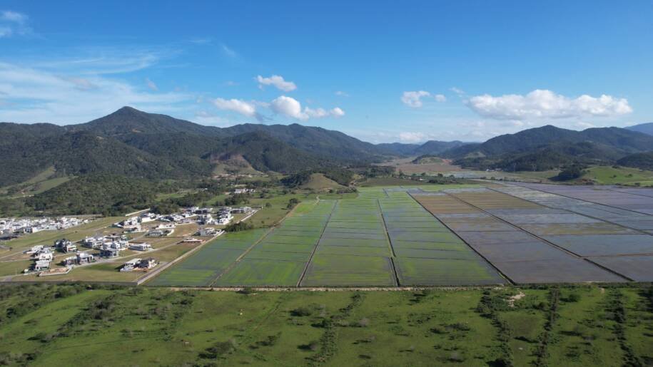 Prefeituras de Balneário Camboriú e Camboriú promovem oficina crucial sobre Pacuera