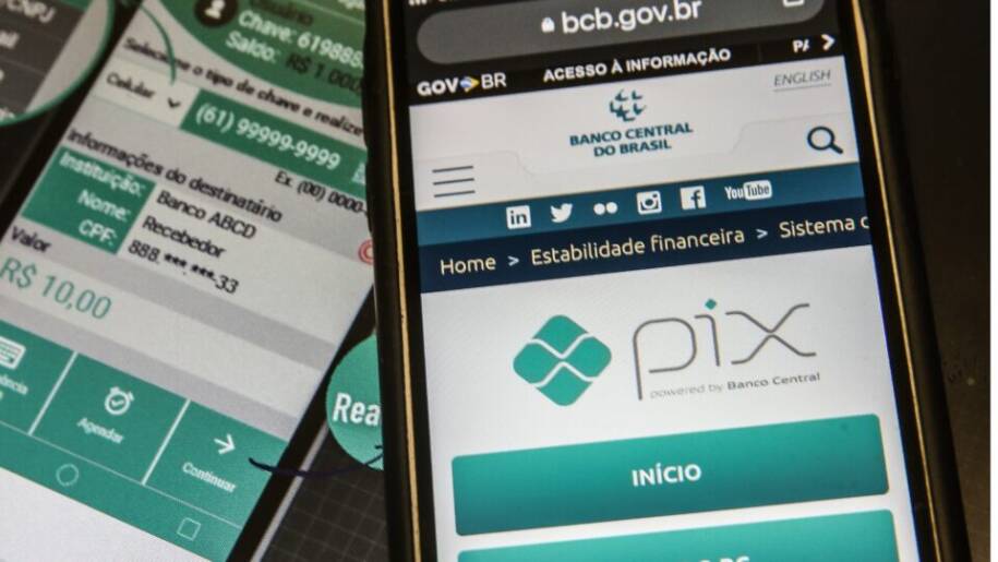 Professora Anette Toppan processa Banco Central por suposta invenção do Pix