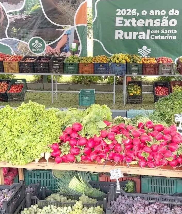 São Bento do Sul e ArcelorMittal promovem Câmbio Verde em bairro Brasília
