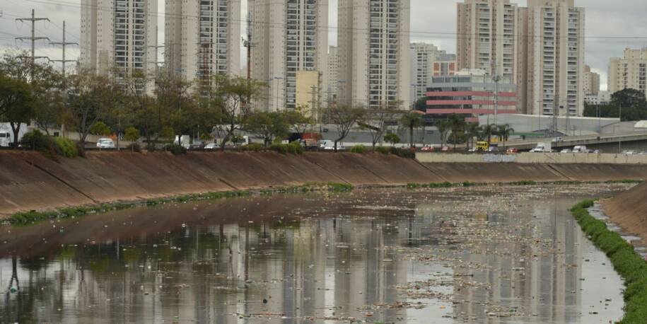 SOS Mata Atlântica revela Rio Tietê sem trechos livres de contaminação alarmante