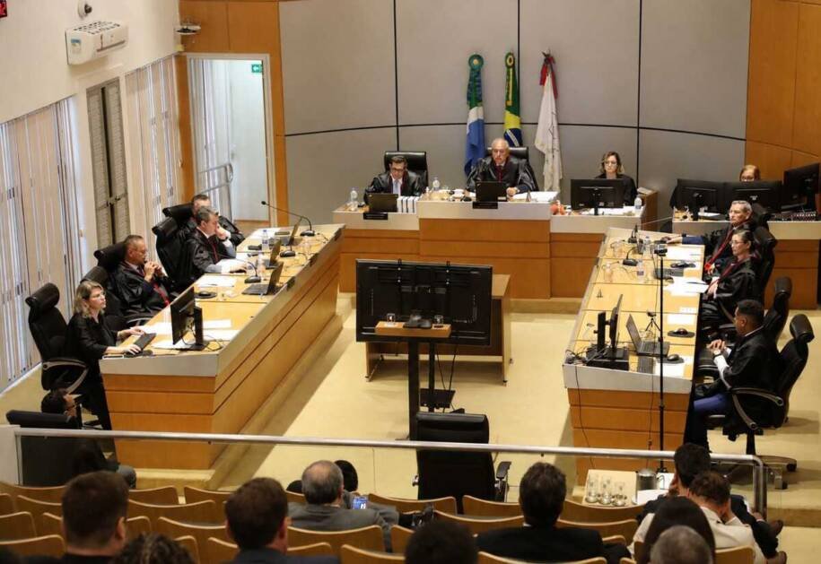 TJMS determina que moradora de Campo Grande reduza cães de 100 para 5 após ação