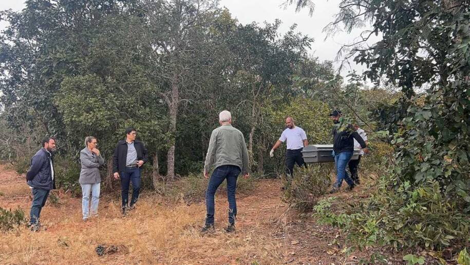Amapil Taxi Aéreo investiga acidente fatal com piloto e pesquisadora em neblina